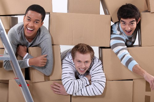 Variety of cardboard boxes for home and business packing